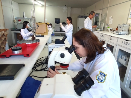 PE atinge 23º mês consecutivo de redução de CVLI