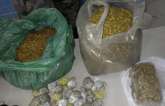 MACONHA APREENDIDA EM PETROLINA