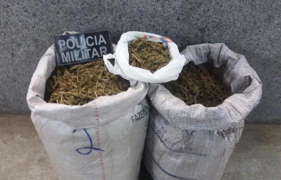DUPLA PRESA COM MAIS DE 18 KG DE MACONHA