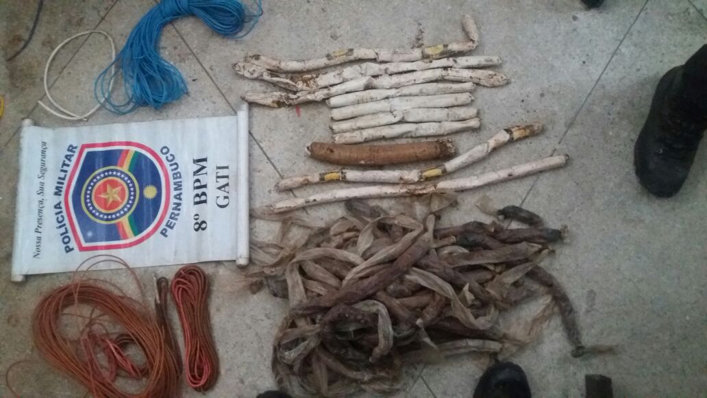 PMS APREENDEM EXPLOSIVOS E DETONADORES EM SALGUEIRO
