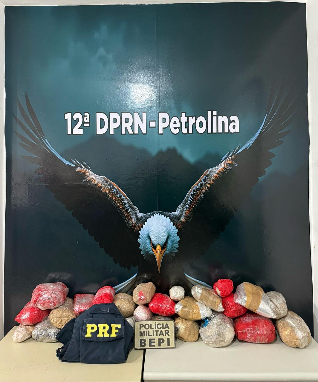 Mais de 200 quilos de entorpecentes foram apreendidos pelas forças de segurança pernambucana apenas no mês de abril