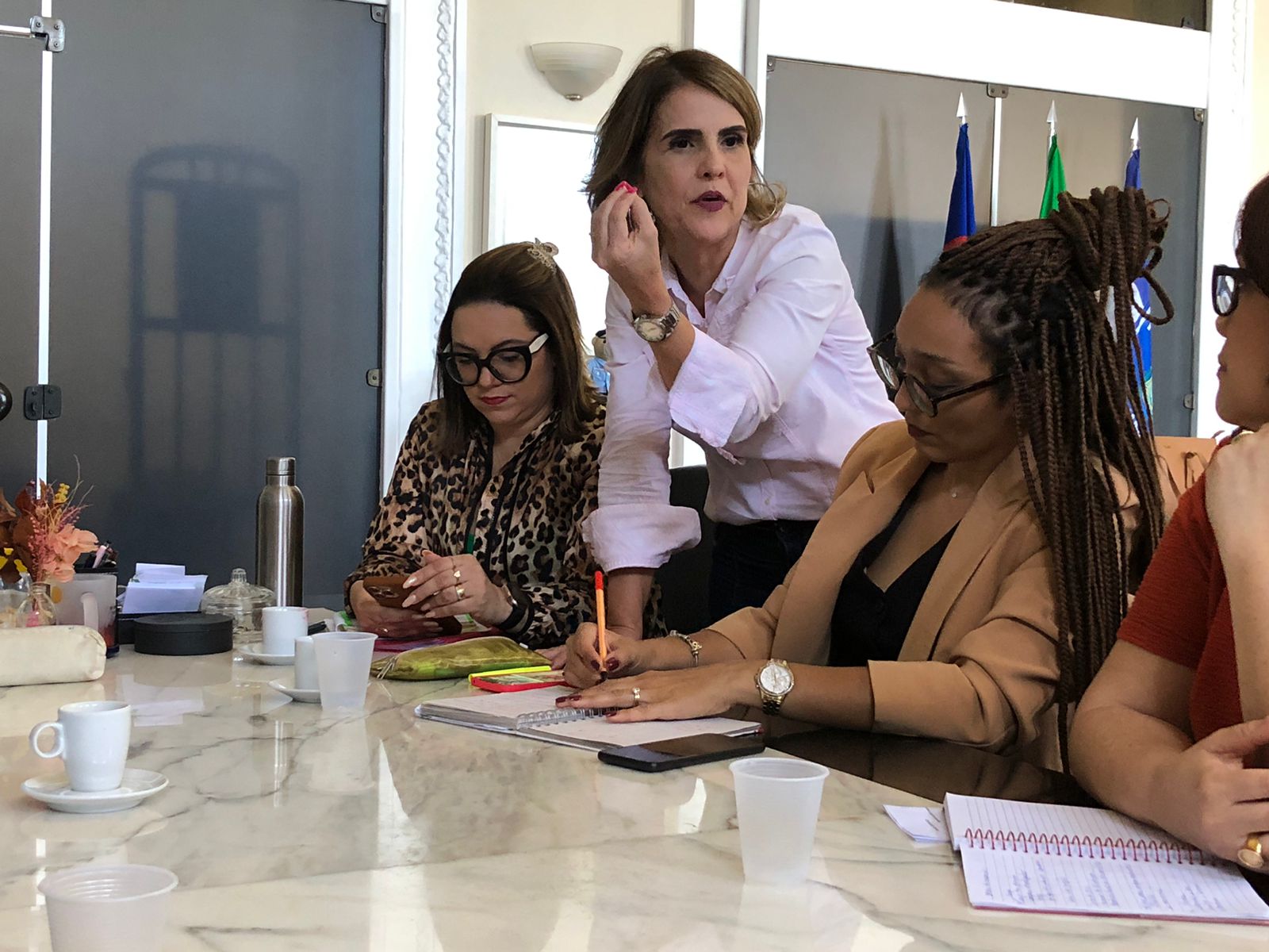 SDS e Secretaria da Mulher se reúnem para definir ações integradas