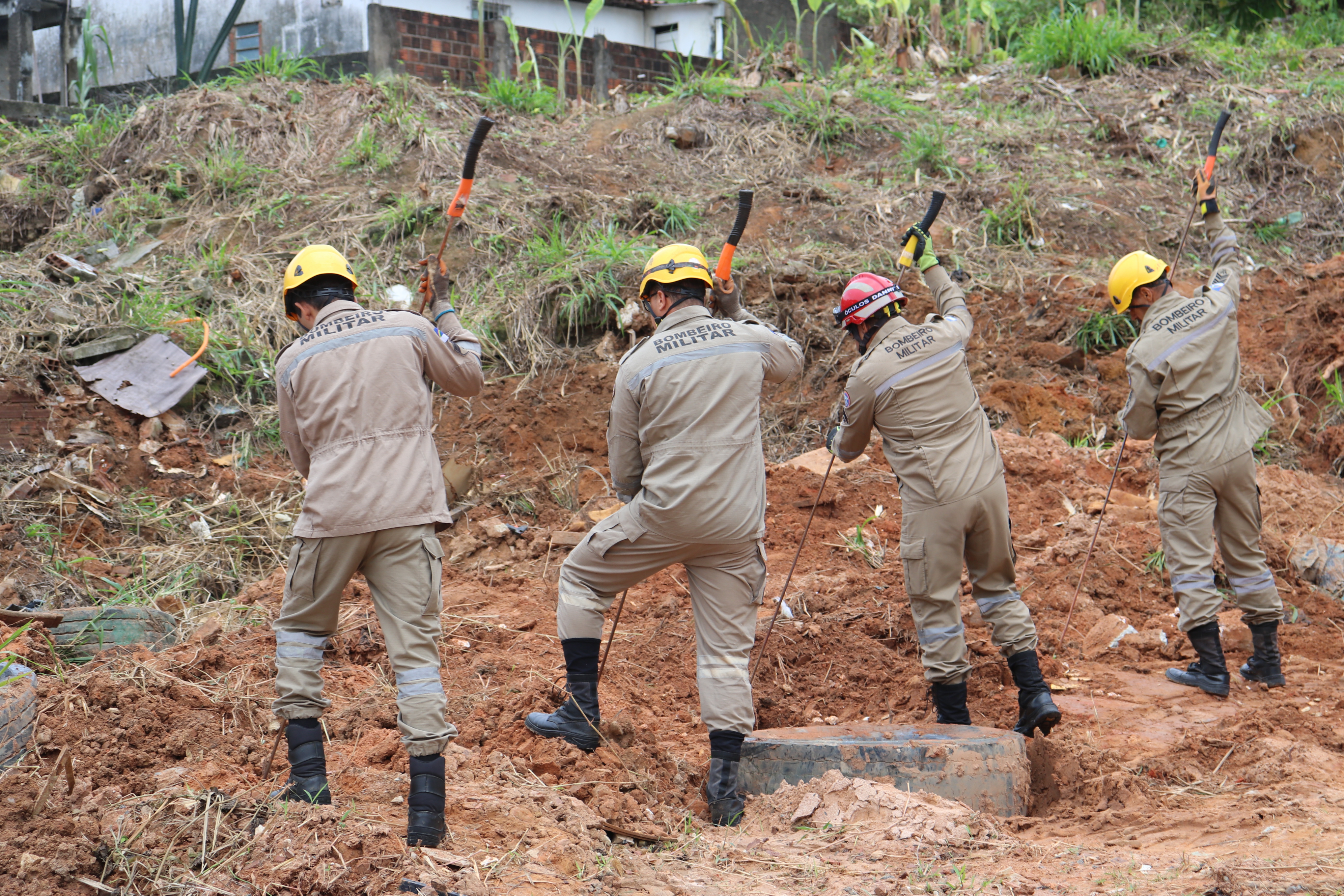 00MEDEIROS SDS (101)(1).JPG