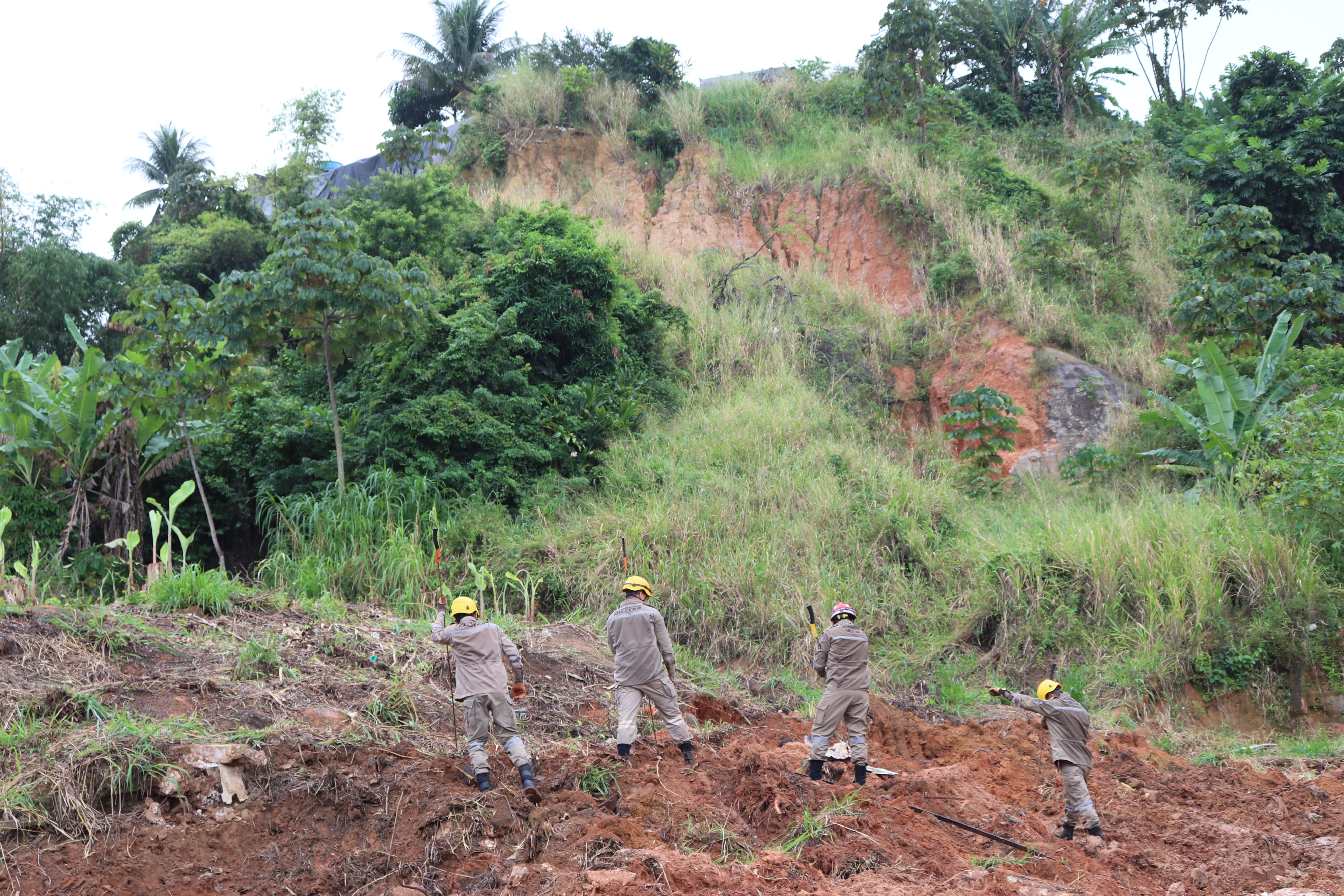 00MEDEIROS SDS (185).JPG