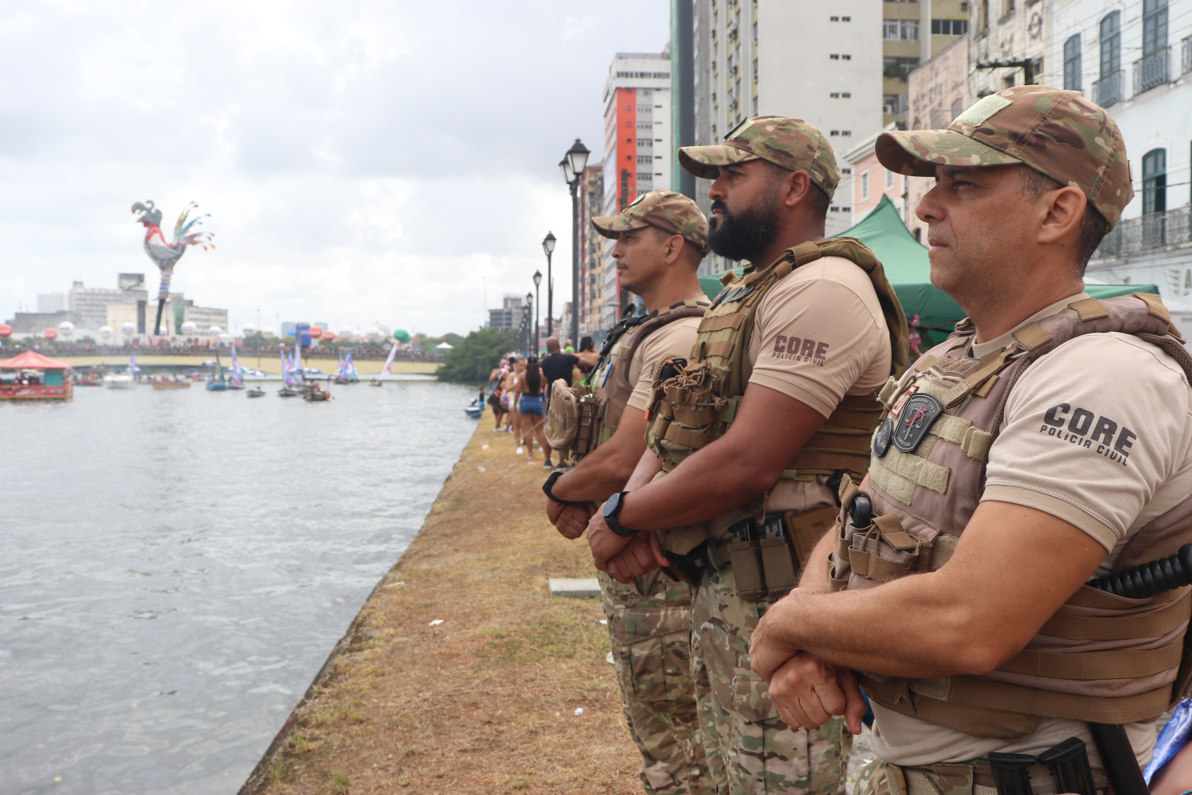 00MEDEIROS SDS GALO DA MADRUGADA (746).JPG