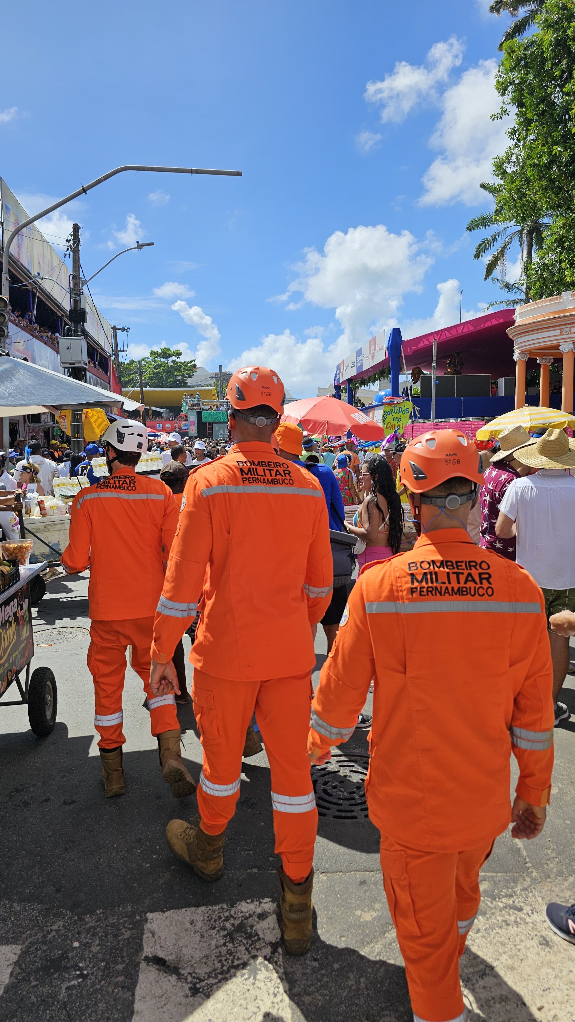 Divulgação SDS (4).jpeg