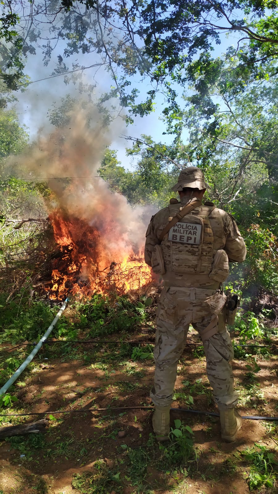 Entorpecentes foram apreendidos pelas forças de segurança (4).jpeg