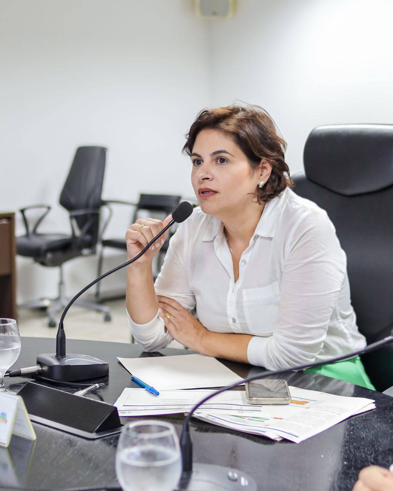 Foto_Mariana_Carvalho_Vice_governadoria (1).jpeg