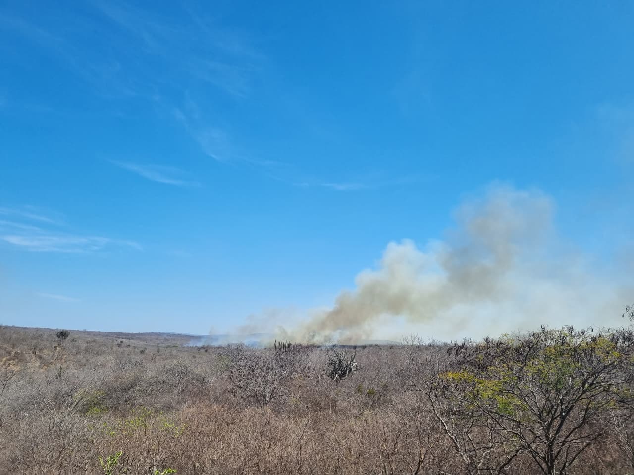 calor e baixa umidade 2