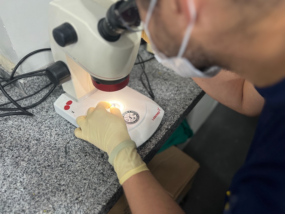 pericias homicidios 2