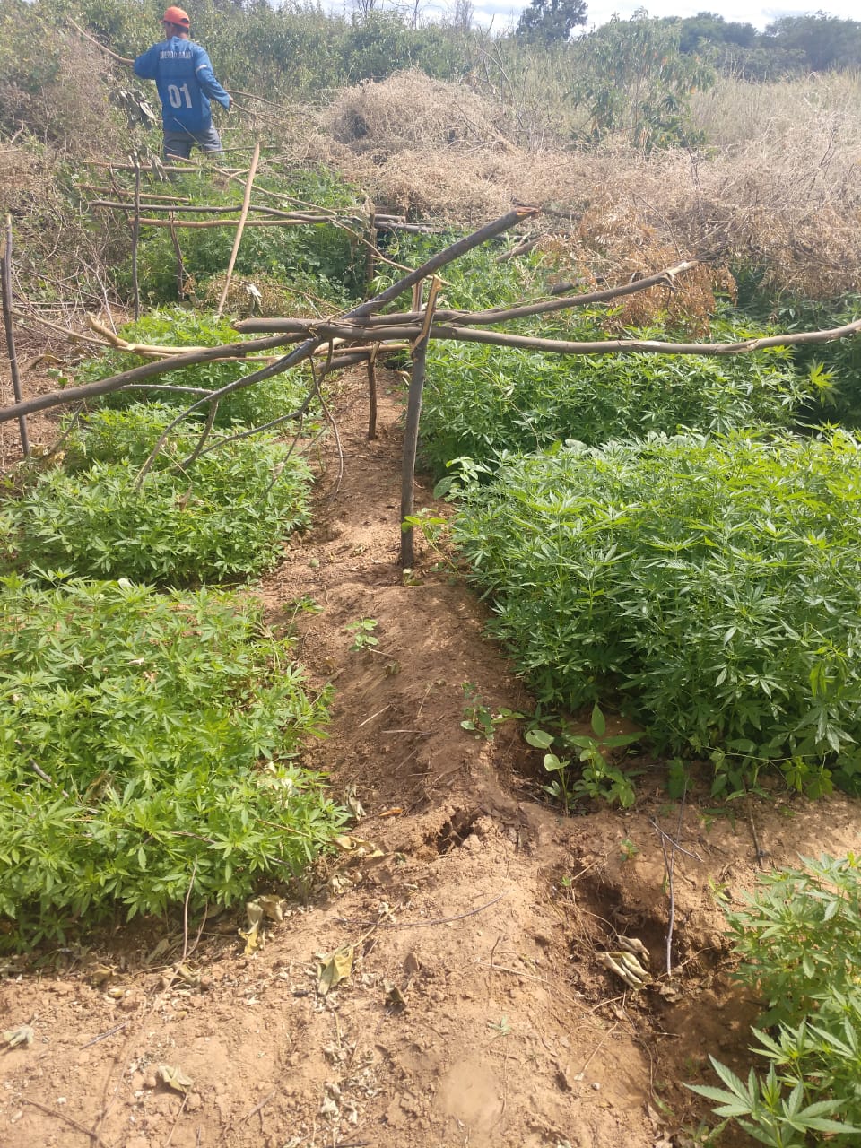 WhatsApp Image 2019-04-29 at 09.21.10.jpeg