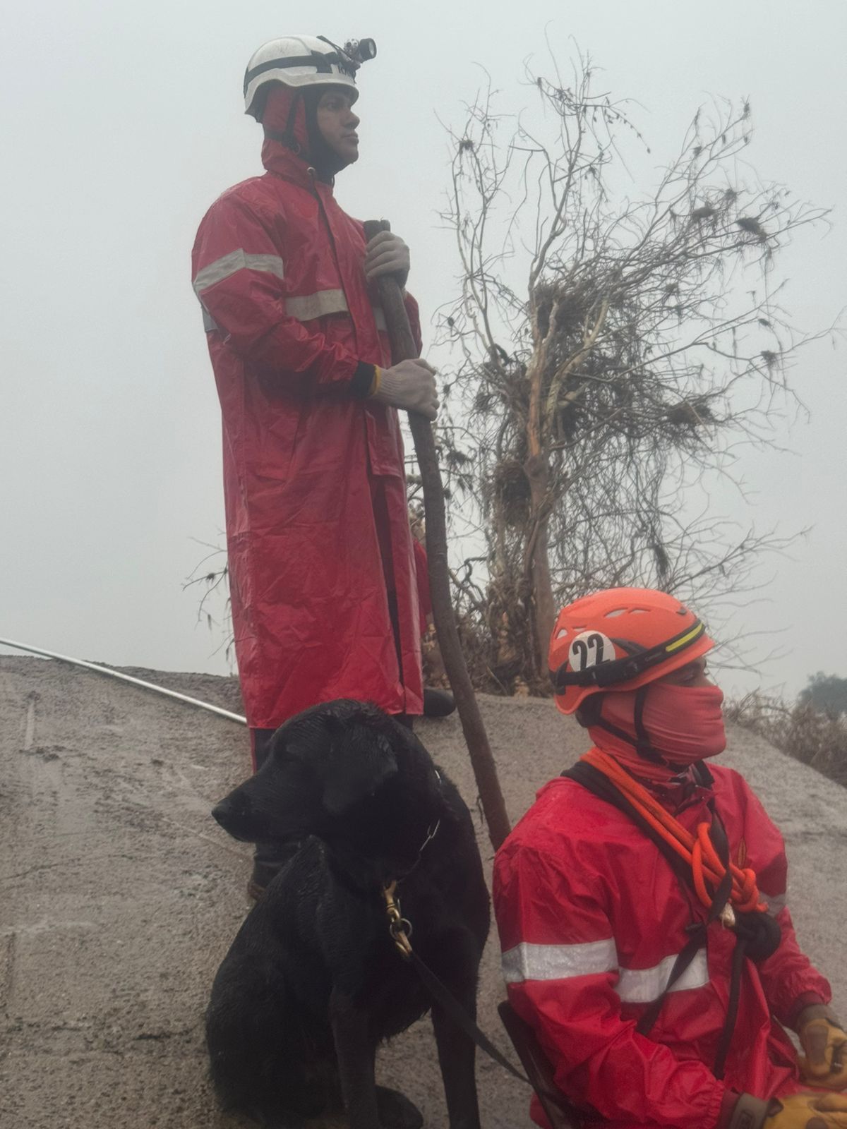 WhatsApp Image 2024-05-26 at 15.46.41.jpeg