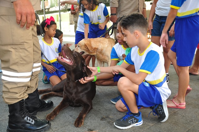 DPCA CRIANÇAS DESAPARECIDAS 24.05 2